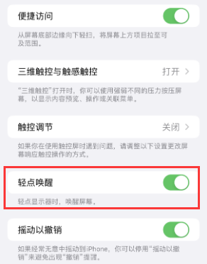 顺昌苹果授权维修站分享iPhone轻点无法唤醒怎么办 