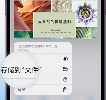 顺昌apple维修中心分享iPhone文件应用中存储和找到下载文件