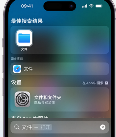 顺昌apple维修中心分享iPhone文件应用中存储和找到下载文件