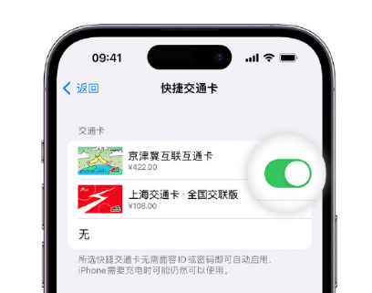 顺昌apple维修点分享iPhone上更换Apple Pay快捷交通卡手绘卡面 