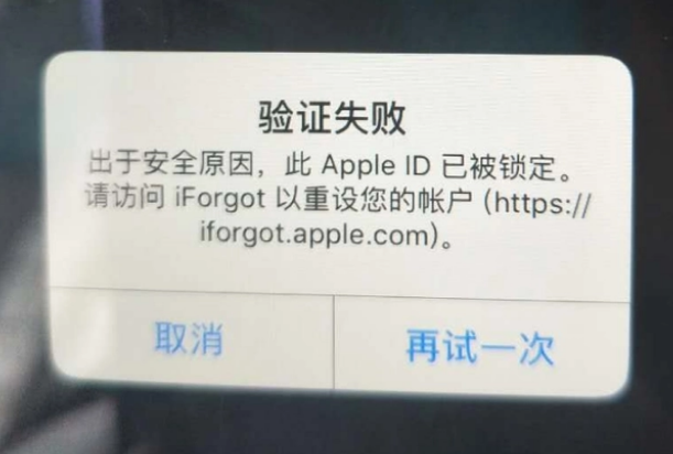 顺昌iPhone维修分享iPhone上正常登录或使用AppleID怎么办 