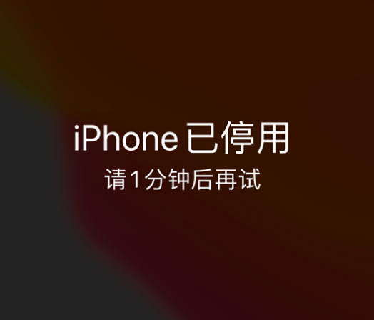 顺昌苹果手机维修分享:iPhone 显示“不可用”或“已停用”怎么办？还能保留数据吗？ 