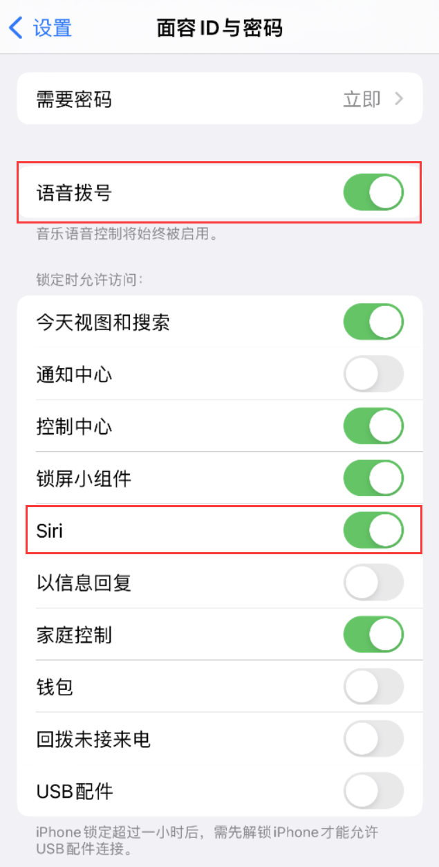 顺昌苹果维修网点分享不解锁 iPhone 的情况下通过 Siri 拨打电话的方法 