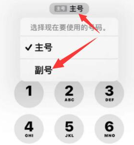 顺昌苹果14维修店分享iPhone 14 Pro Max使用副卡打电话的方法 