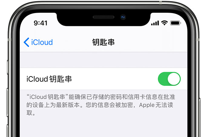 顺昌苹果手机维修分享在 iPhone 上开启 iCloud 钥匙串之后会储存哪些信息 