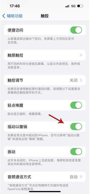 顺昌苹果手机维修分享iPhone手机如何设置摇一摇删除文字 