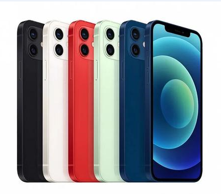 顺昌苹果维修点分享iPhone 12 Pro Max黑屏冷门故障解读 